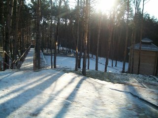 100_0868-web